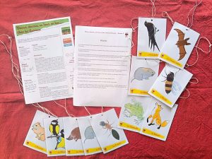 Dessus, Dessous, en Haut, en Bas avec les Animaux